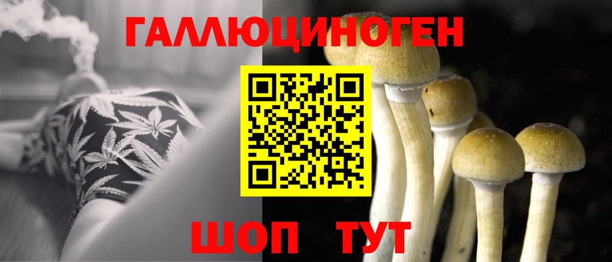 Псилоцибиновые грибы Psilocybe Валуйки